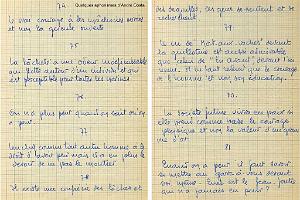 50 - Vol a voile(3)_000009